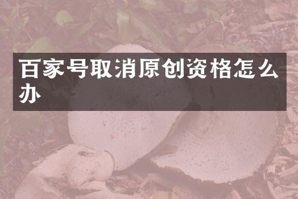 百家号取消原创资格怎么办