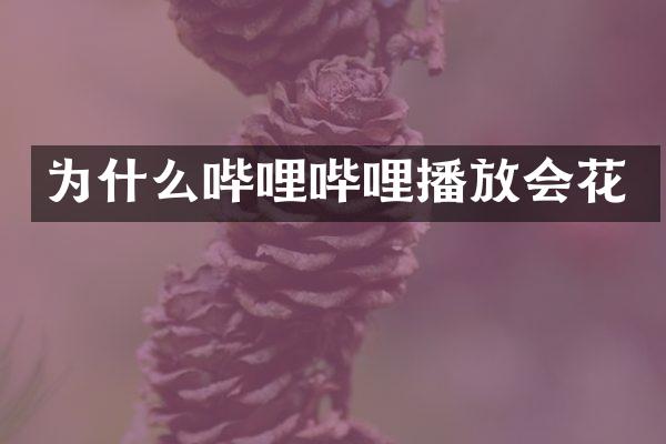 为什么哔哩哔哩播放会花