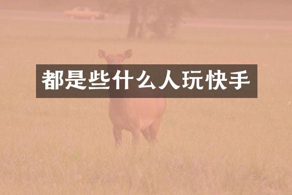 都是些什么人玩快手