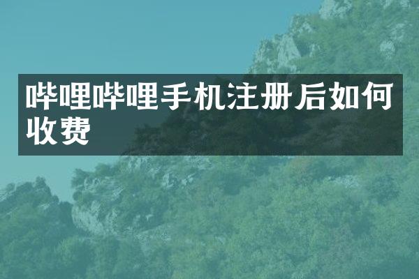 哔哩哔哩手机注册后如何收费
