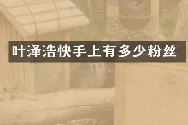 叶泽浩快手上有多少粉丝