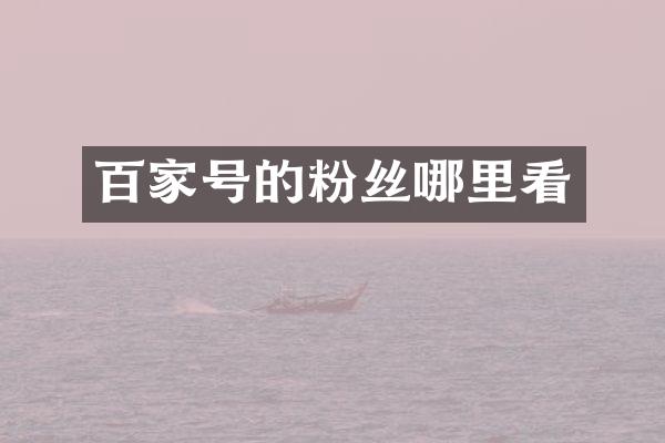 百家号的粉丝哪里看