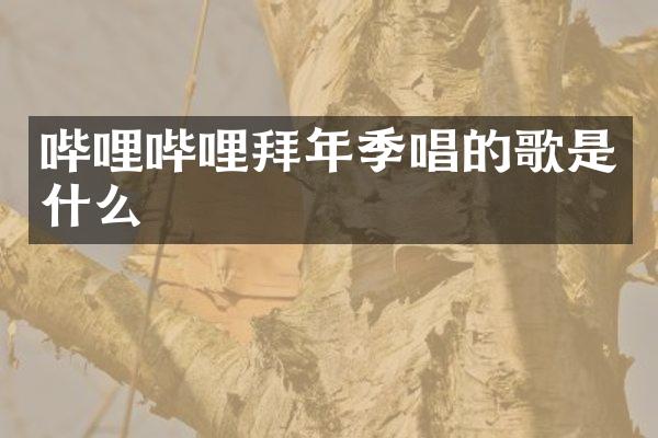 哔哩哔哩拜年季唱的歌是什么