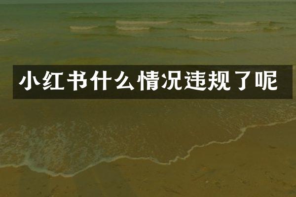小红书什么情况违规了呢