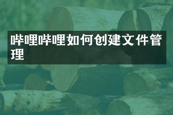 哔哩哔哩如何创建文件管理