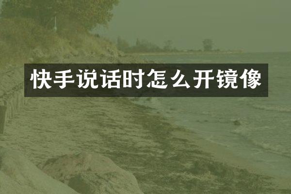 快手说话时怎么开镜像