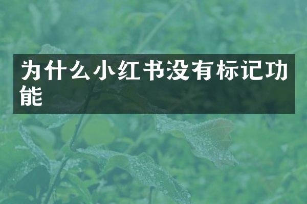 为什么小红书没有标记功能