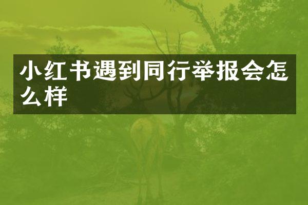 小红书遇到同行举报会怎么样