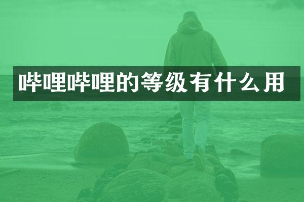 哔哩哔哩的等级有什么用