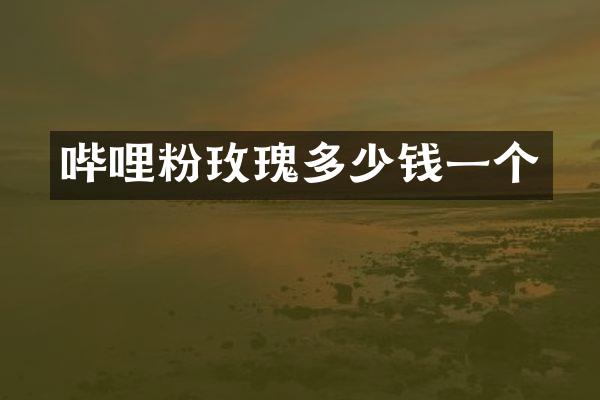 哔哩粉玫瑰多少钱一个