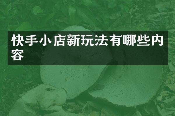 快手小店新玩法有哪些内容