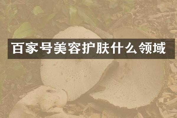 百家号美容护肤什么领域