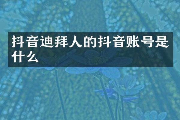 抖音迪拜人的抖音账号是什么