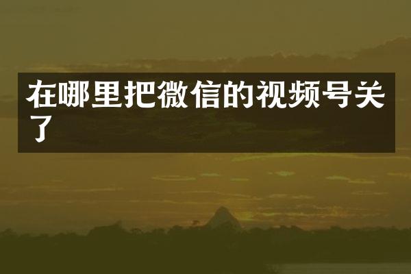 在哪里把微信的视频号关了