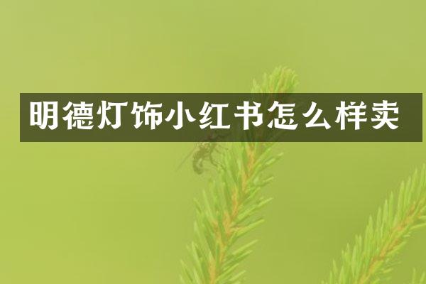 明德灯饰小红书怎么样卖