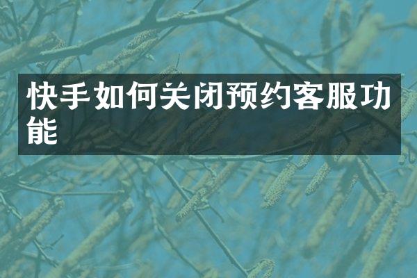 快手如何关闭预约客服功能