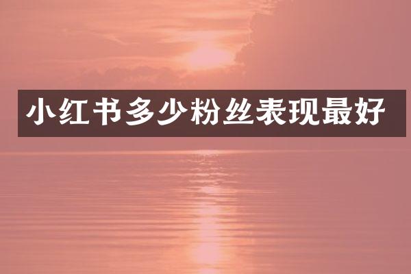 小红书多少粉丝表现最好