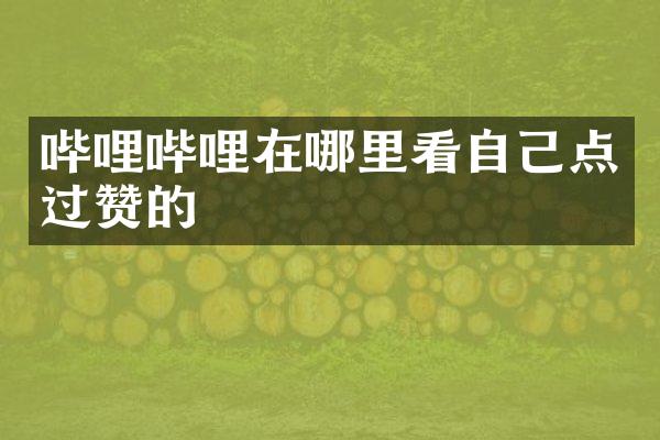 哔哩哔哩在哪里看自己点过赞的