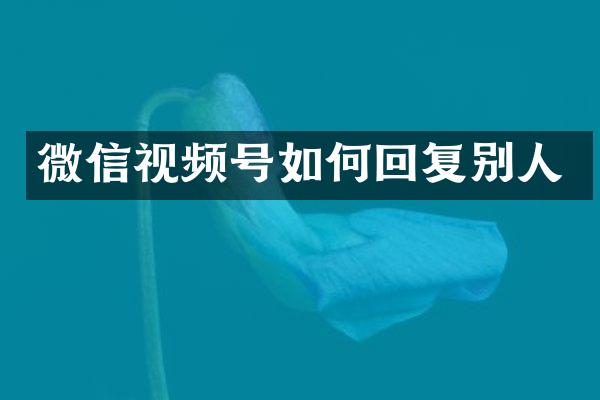 微信视频号如何回复别人
