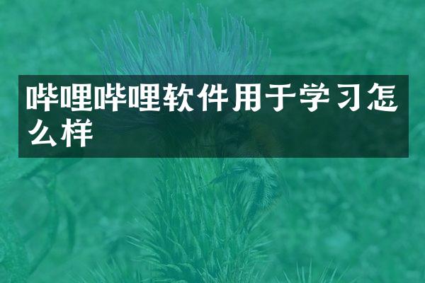 哔哩哔哩软件用于学习怎么样