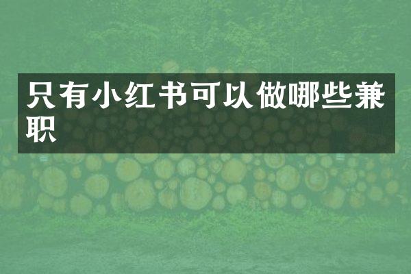 只有小红书可以做哪些兼职
