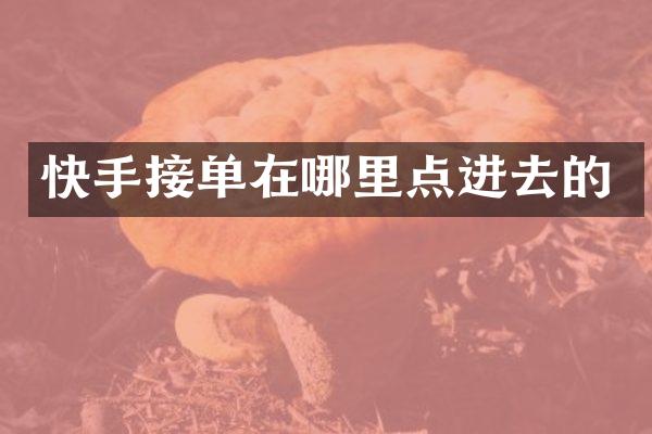 快手接单在哪里点进去的