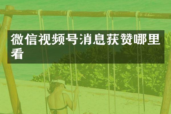微信视频号消息获赞哪里看