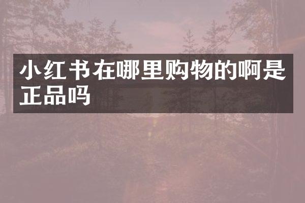 小红书在哪里购物的啊是正品吗
