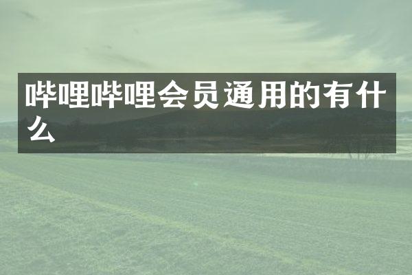 哔哩哔哩会员通用的有什么