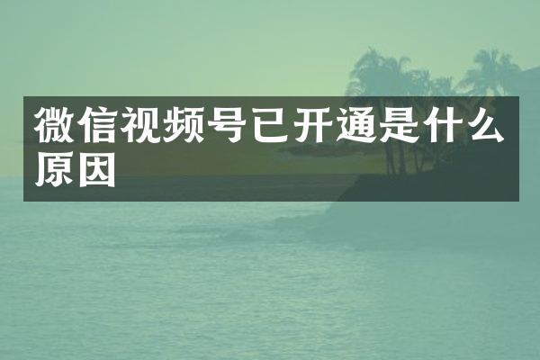 微信视频号已开通是什么原因