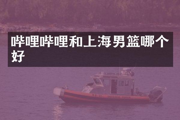 哔哩哔哩和上海男篮哪个好