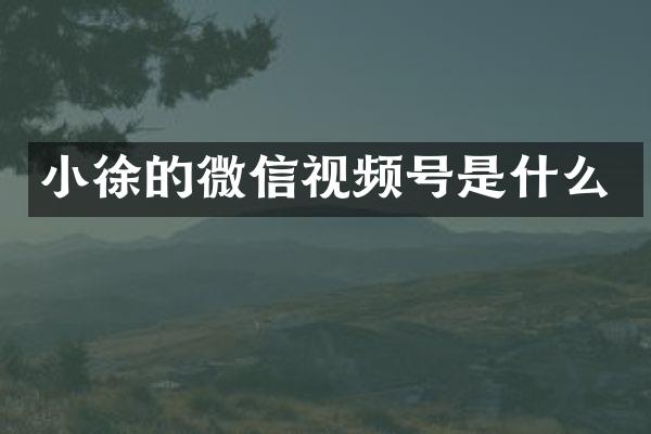 小徐的微信视频号是什么