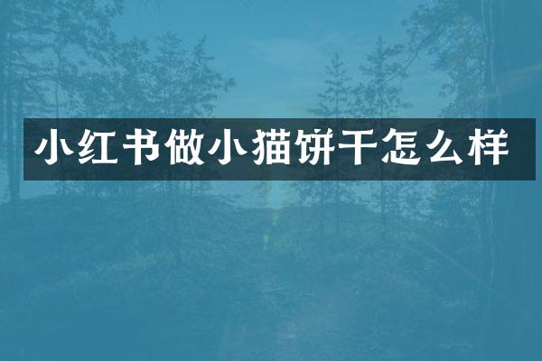小红书做小猫饼干怎么样