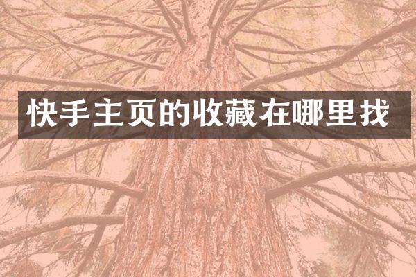 快手主页的收藏在哪里找