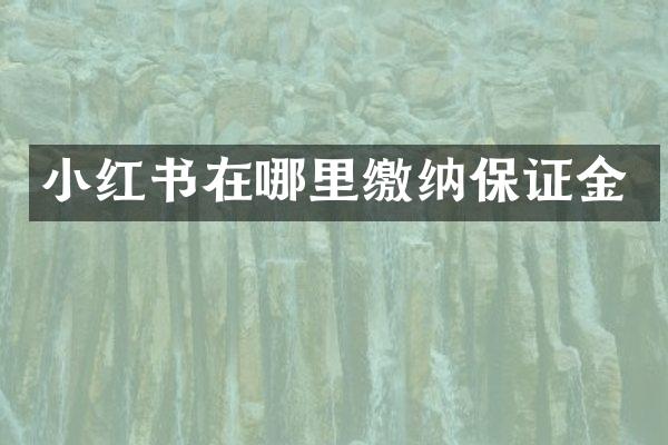 小红书在哪里缴纳保证金