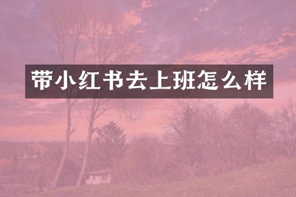 带小红书去上班怎么样