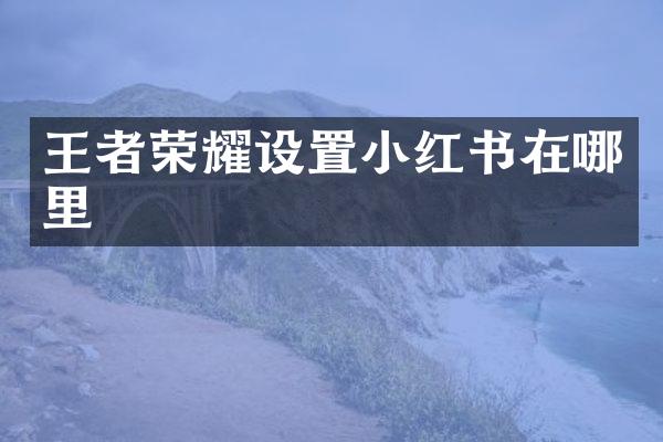 王者荣耀设置小红书在哪里