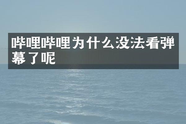 哔哩哔哩为什么没法看弹幕了呢