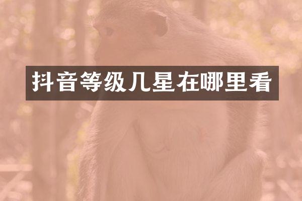 抖音等级几星在哪里看