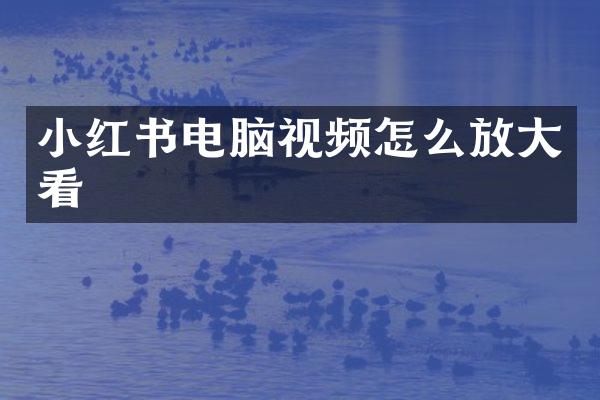 小红书电脑视频怎么放大看