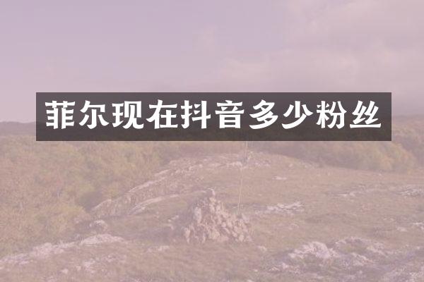 菲尔现在抖音多少粉丝