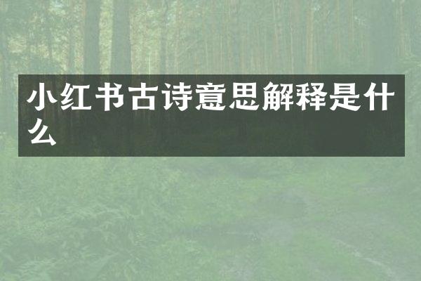 小红书古诗意思解释是什么