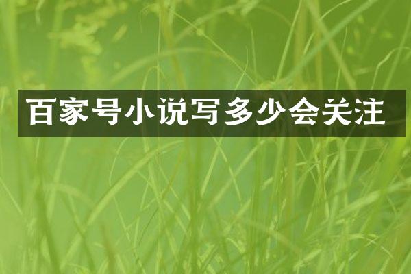 百家号小说写多少会关注