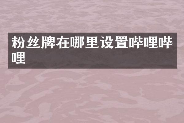 粉丝牌在哪里设置哔哩哔哩