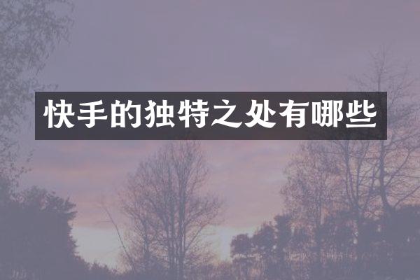 快手的独特之处有哪些