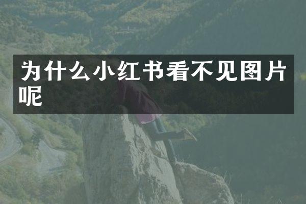 为什么小红书看不见图片呢