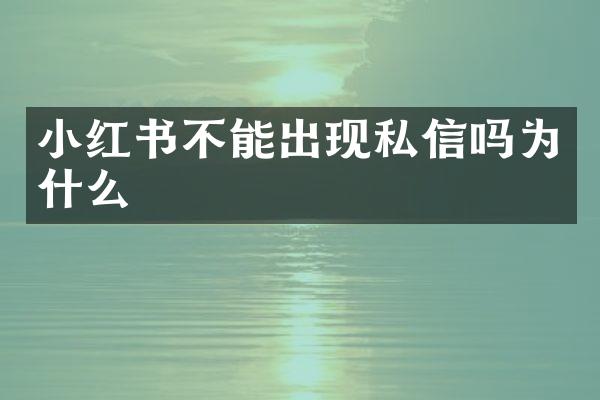 小红书不能出现私信吗为什么