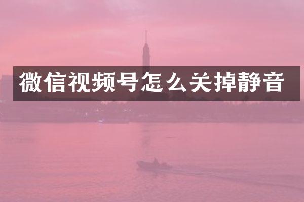 微信视频号怎么关掉静音