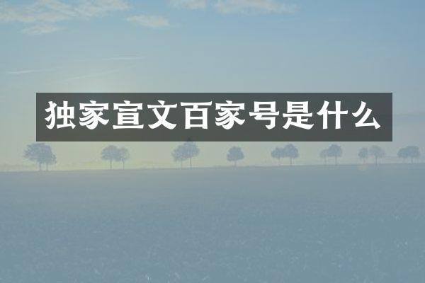 独家宣文百家号是什么
