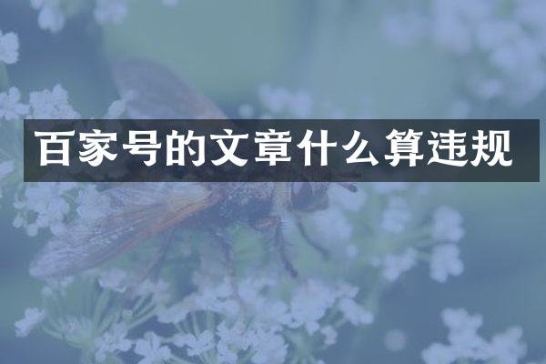 百家号的文章什么算违规